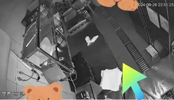 酒店现多只蟑螂 消杀后次日又现_牛约堡食品安全问题_牛约堡厦门门店检查
