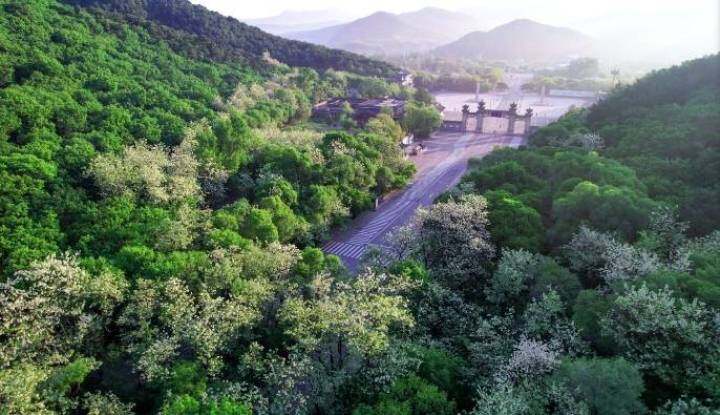 千山玉佛苑门票折扣_鞍山汤岗子温泉及住宿价格_鞍山景区免票优惠