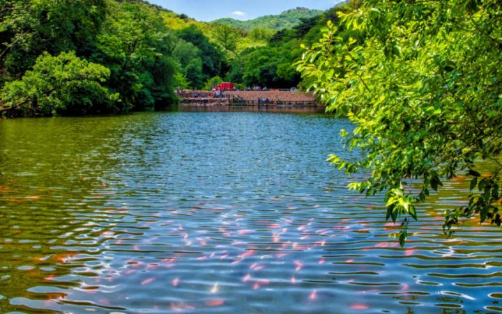 鞍山汤岗子温泉及住宿价格_鞍山景区免票优惠_千山玉佛苑门票折扣
