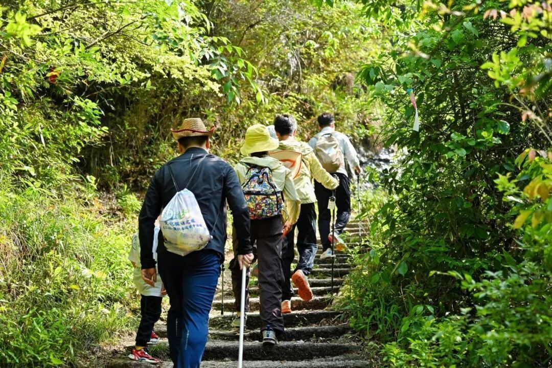 安徽文化遗产_安徽古道行文化探访之旅_徽杭古道文化传承活动
