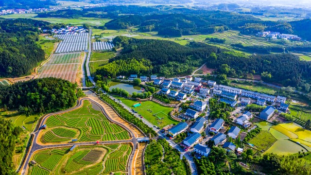 广西中分段考生长线大学选择_广西财经学院有艺术_广西二本大学推荐