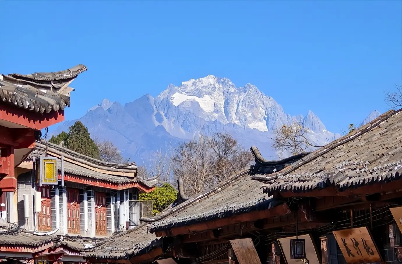 丽江春日文旅消费数据_丽江沉浸式文化游体验_丽江纳西族文化