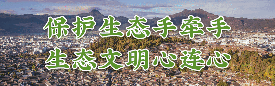 丽江纳西族文化_沉浸式文化体验_丽江古城慢行游览