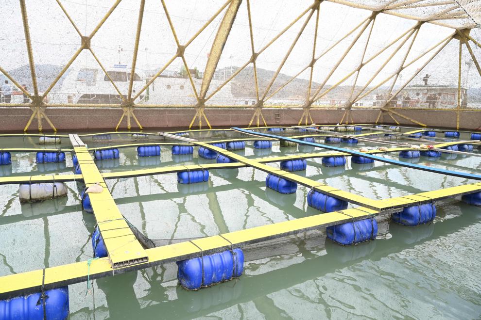 海洋资源利用_福建海洋牧场建设_中国深远海养殖平台