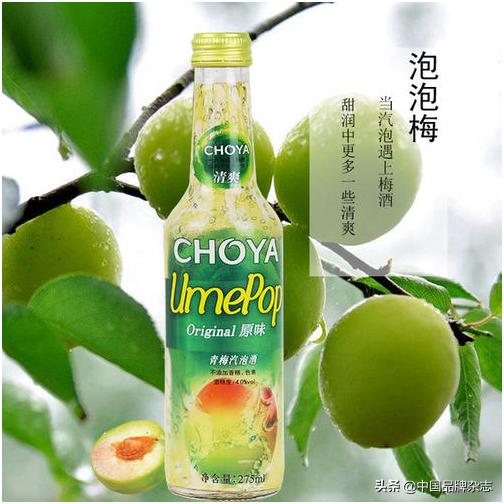 果露可以做什么饮品_年轻果酒市场_果酒品牌排行