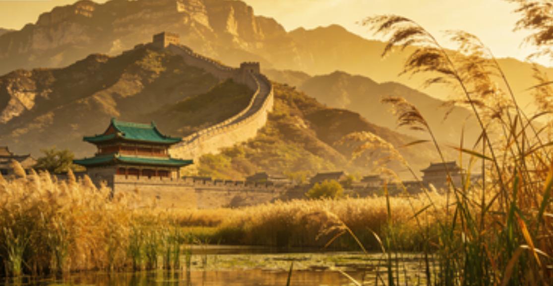 宁夏正规靠谱旅行社_宁夏沙湖生态旅游区门票_2026宁夏旅行社红榜前十