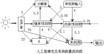 如图是生态系统的能量流动图解_生态系统能量流动过程_能量金字塔分析