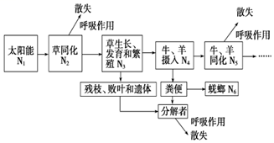 如图是生态系统的能量流动图解_生态系统能量流动过程_能量金字塔分析