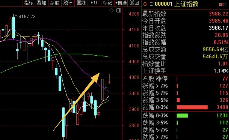 退市风险警示ST立案调查股东减持业绩亏损_股票海泰发展