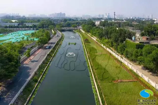 人工湿地生态系统_人工湿地水环境治理_人工湿地生态系统