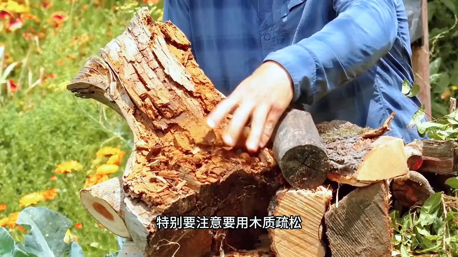生态农业埋木种植床_生态农业模式规划_全球农场模式第124期