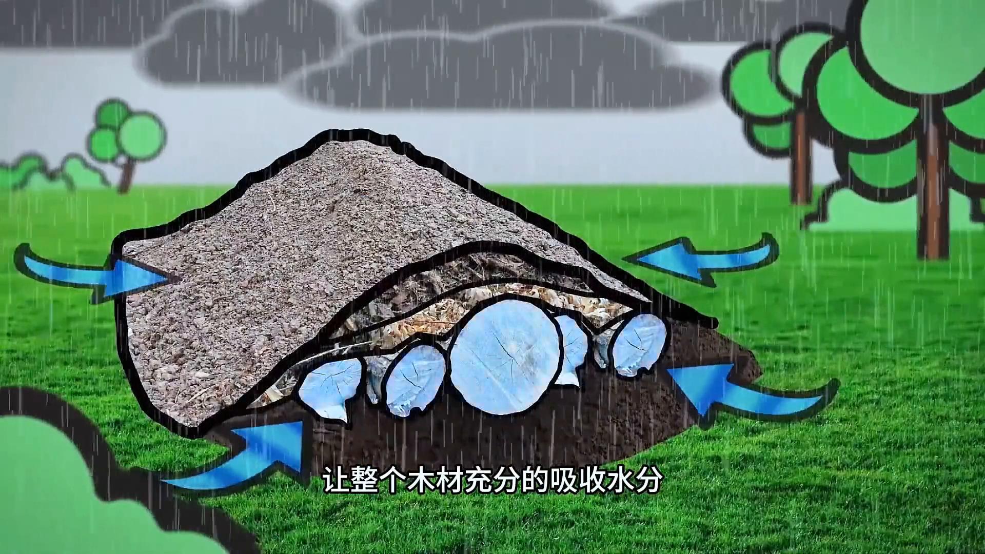 生态农业模式规划_生态农业埋木种植床_全球农场模式第124期