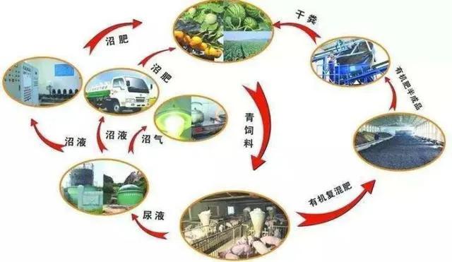 生态农业模式种类_生态农业技术结合_生态农业模式规划