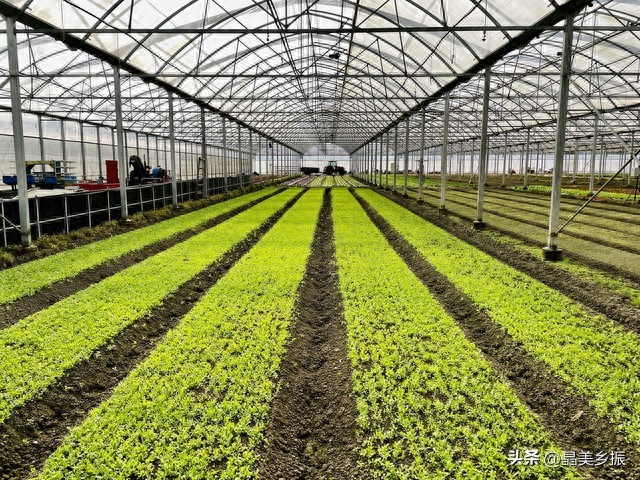 生态农业项目收入来源分析_生态农业模式规划_生态农业项目商业模式分析