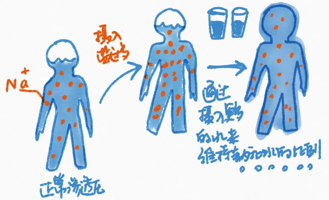 减重期体重变化规律_体重波动原因_最近早晚体重一样 好怕