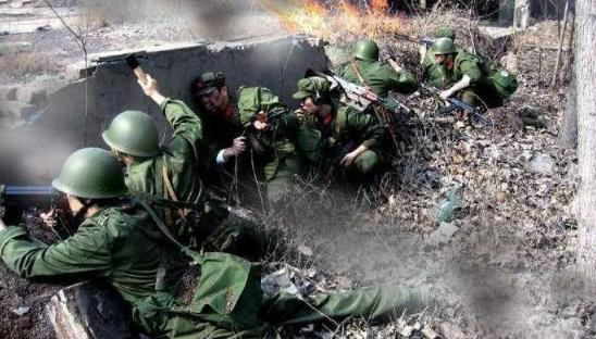 武元甲美国_对越自卫反击战 许世友将军 武元甲反应
