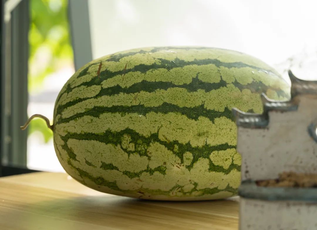 天然白虎汤_西瓜皮擦脸有什么好处_西瓜霜MIRABILITUM PRAEPARATUM
