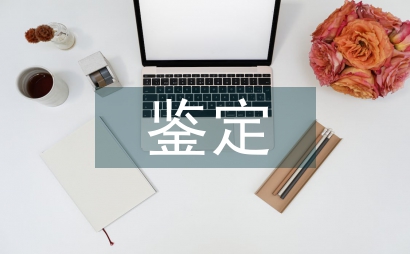 鉴定表