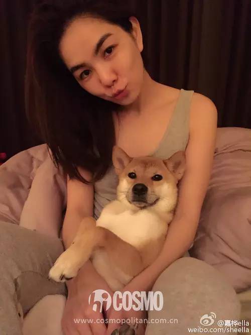 鲁豫的发型_厚刘海减龄效果_明星短发造型