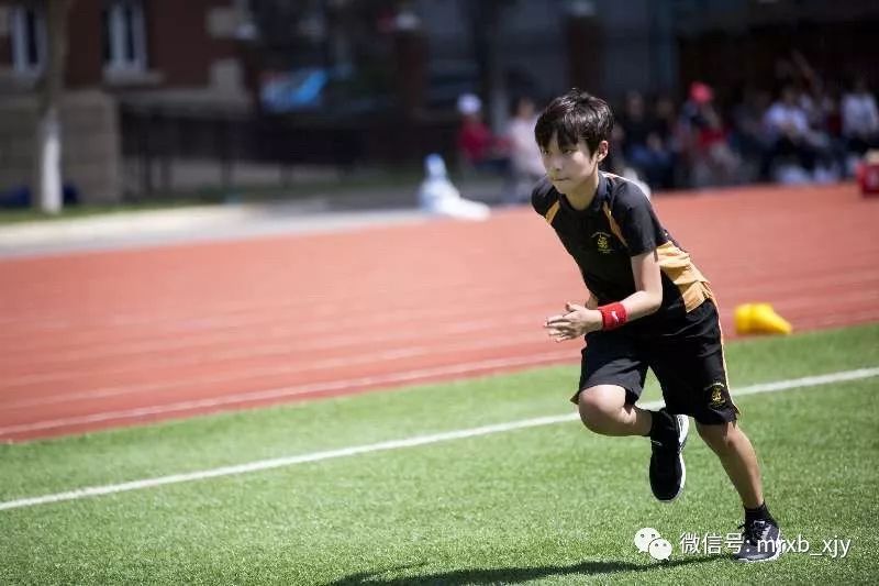天津惠灵顿国际课程中心 A-Level课程 天津惠灵顿学校 惠灵顿公学_上海惠灵顿国际学校+招聘