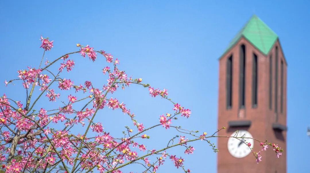 华南理工大学法学考研有什么科目_报考条件_华南理工大学2026年硕士研究生招生章程