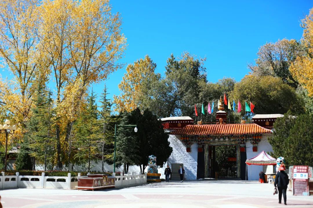 冬游西藏优惠政策_贡嘎机场到拉萨市区_西藏十一月份旅行攻略