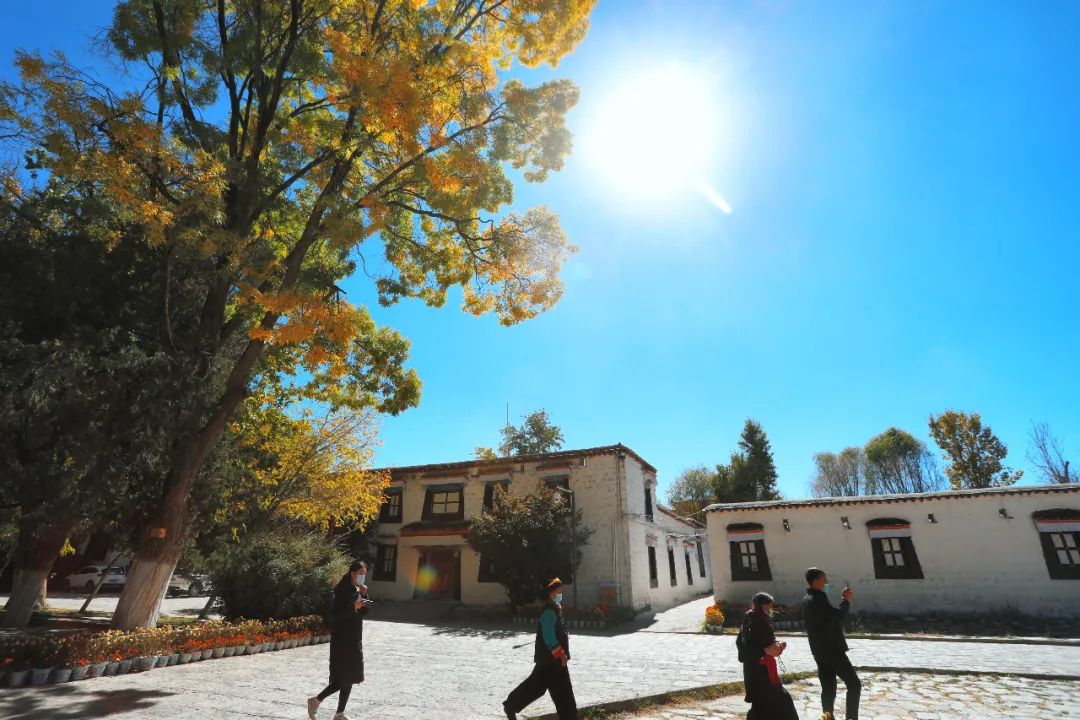 西藏十一月份旅行攻略_贡嘎机场到拉萨市区_冬游西藏优惠政策
