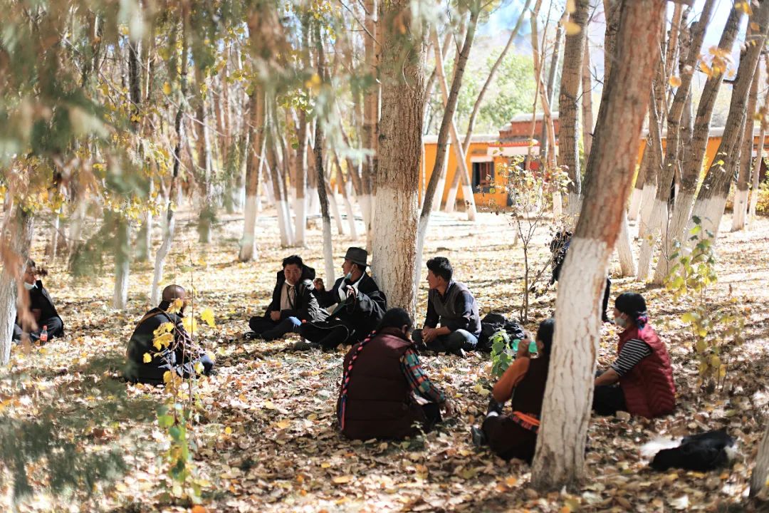 贡嘎机场到拉萨市区_西藏十一月份旅行攻略_冬游西藏优惠政策