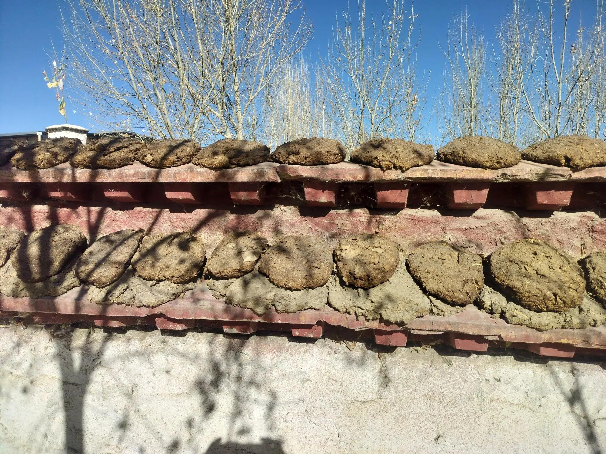 贡嘎县城旅游路线_高原自然风光体验_贡嘎机场到拉萨市区