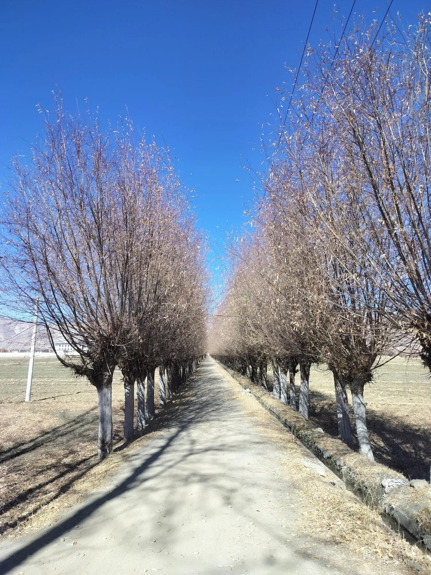 高原自然风光体验_贡嘎县城旅游路线_贡嘎机场到拉萨市区