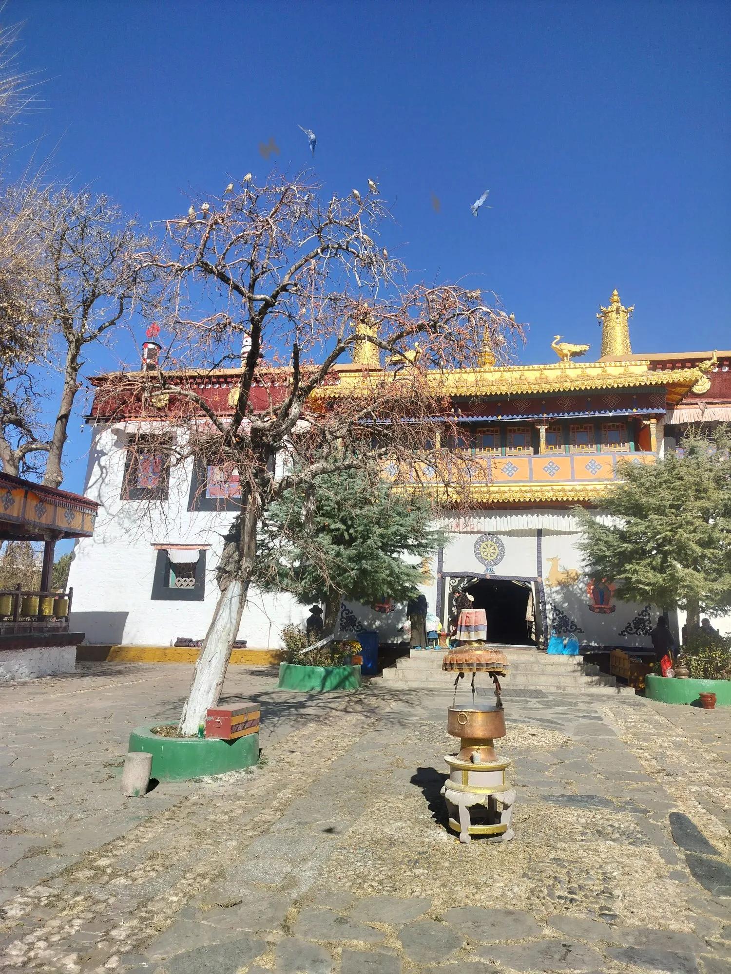 贡嘎县城旅游路线_贡嘎机场到拉萨市区_高原自然风光体验