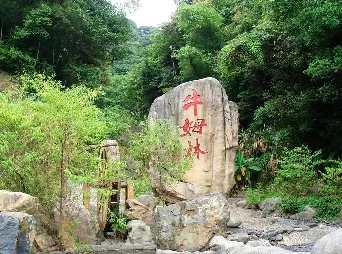 永春中国香都_永春雪山岩景点_永春老醋历史文化