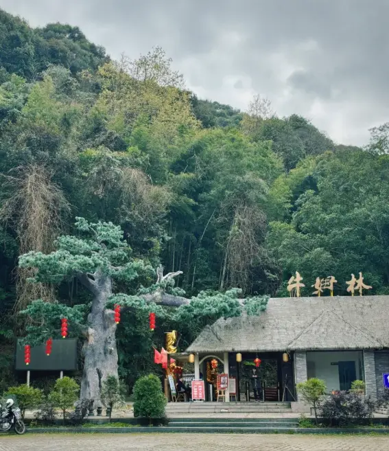 永春县旅游景点大全_牛姆林生态旅游区_永春雪山岩景点