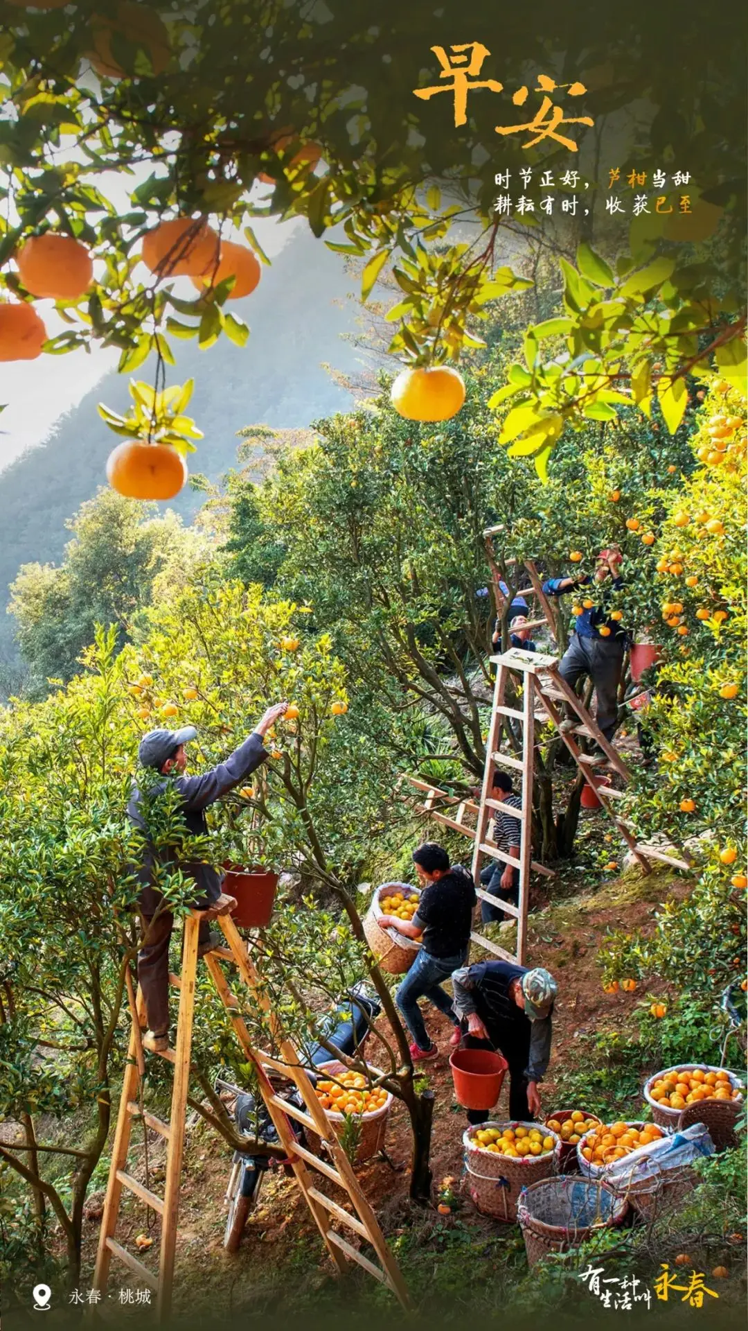 永春县山水风光_永春雪山岩景点_永春县旅游攻略