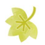 广东省教师资格考试报考指南_广州成人高考报名网_广东省教师资格考试在校生报考条件