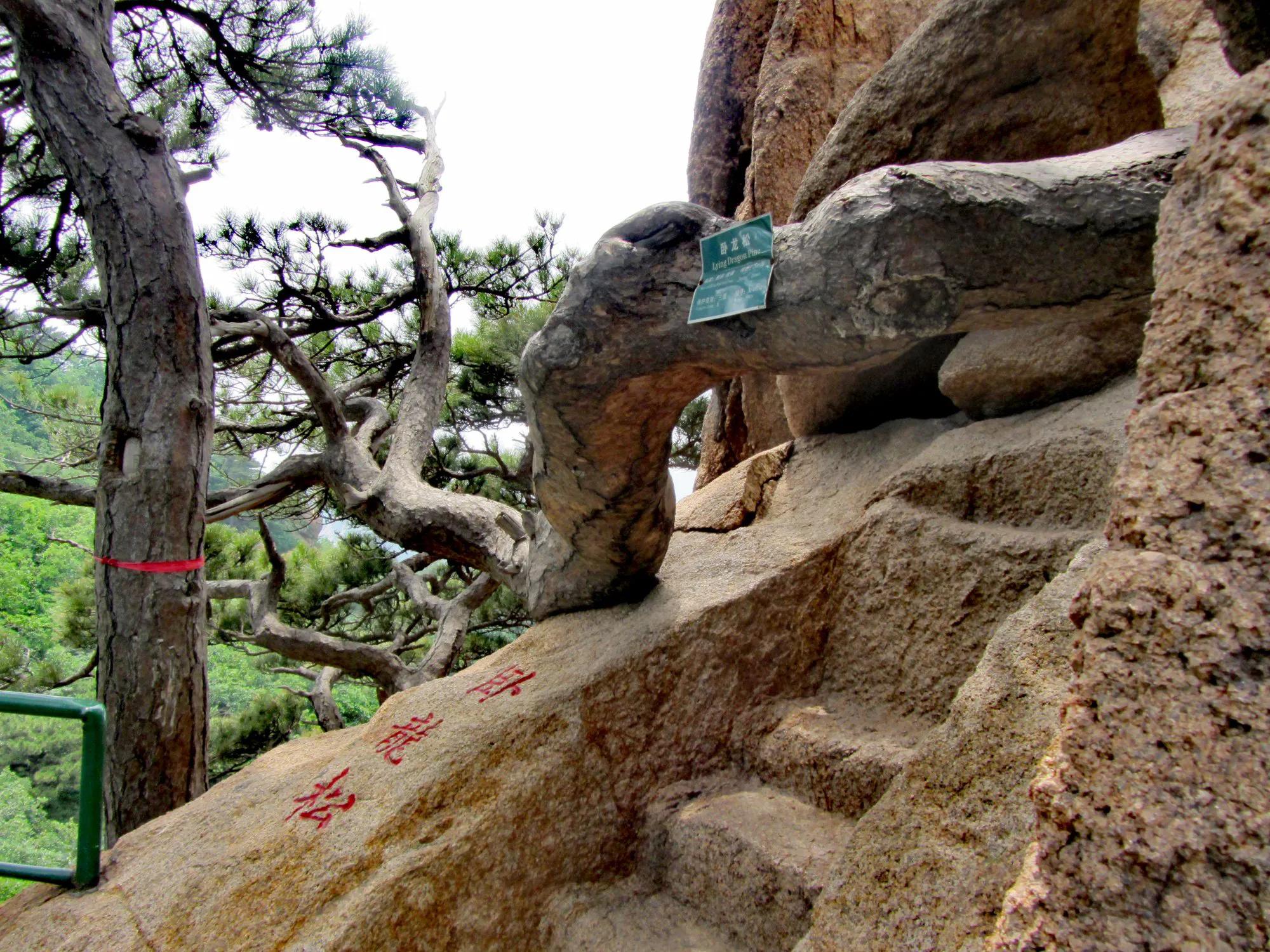 辽宁千山旅游攻略_千山旅游集团地址_千山天成弥勒大佛