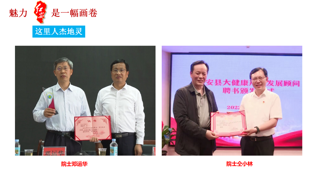 红安绿色生态_红安红色旅游_红安方言全