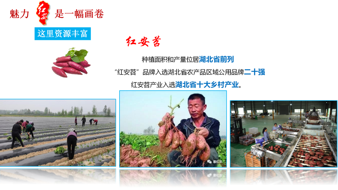 红安绿色生态_红安红色旅游_红安方言全