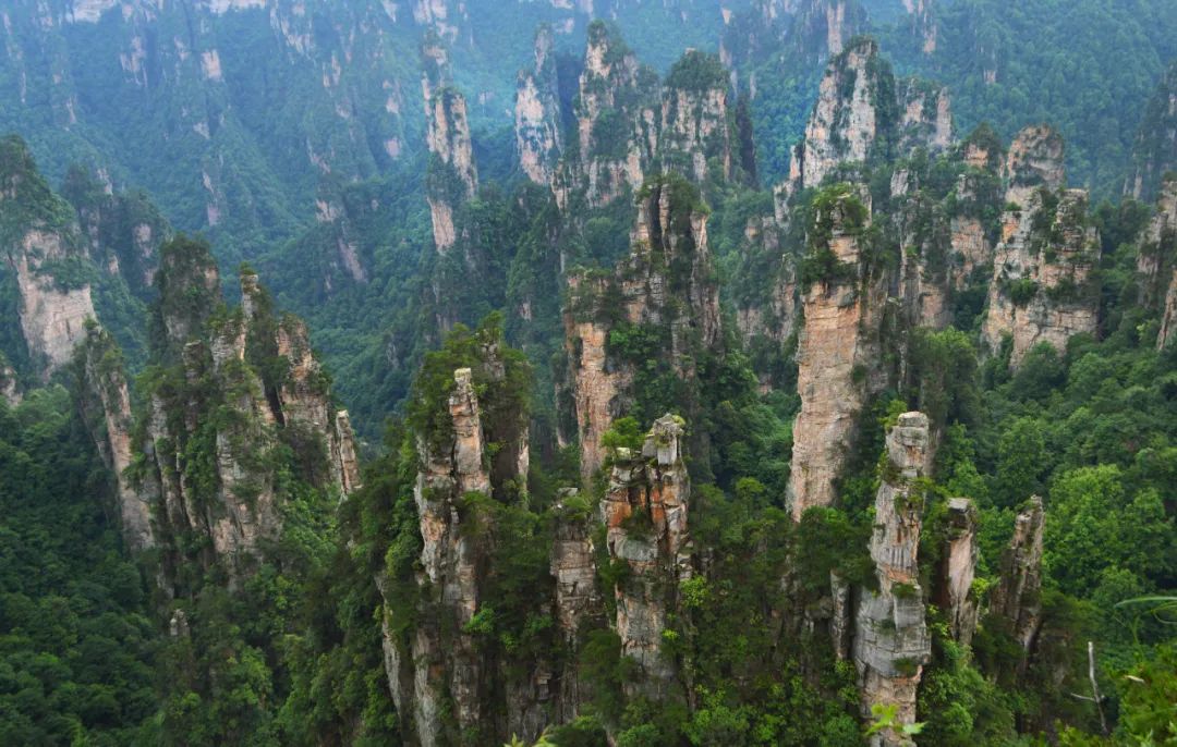 张家界国家森林公园攻略_湖南吟谷文化征稿_湖南旅游景点推荐