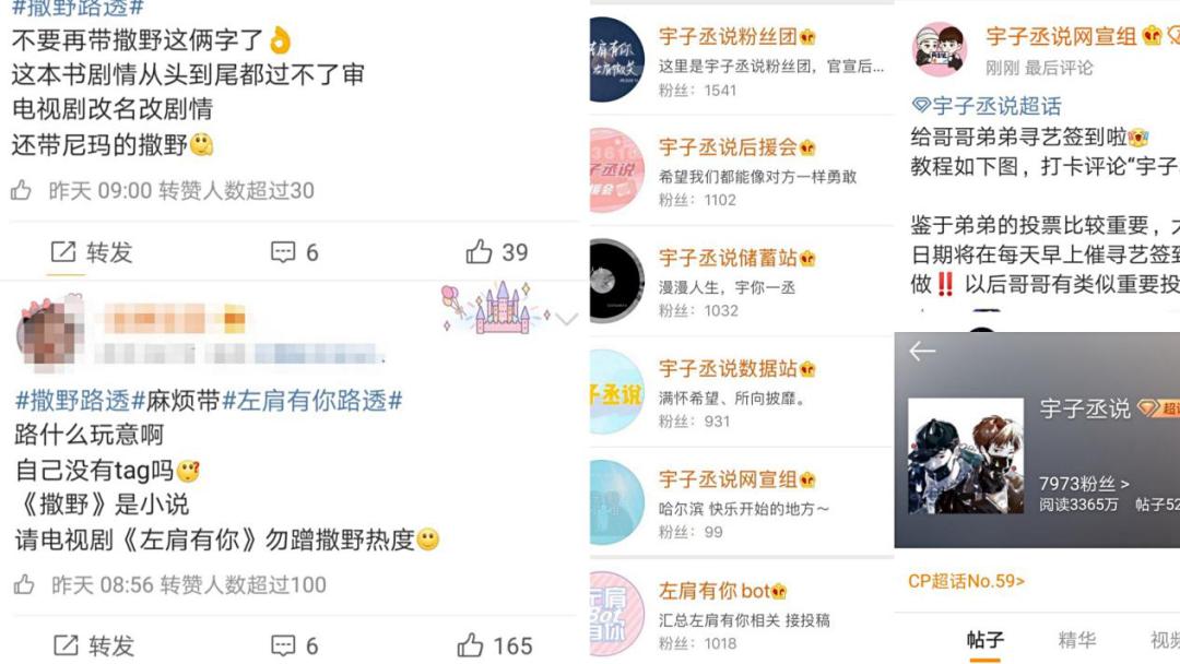 晋江文学城耽美大IP崛起_什么是耽美文化_耽美文学IP改编趋势