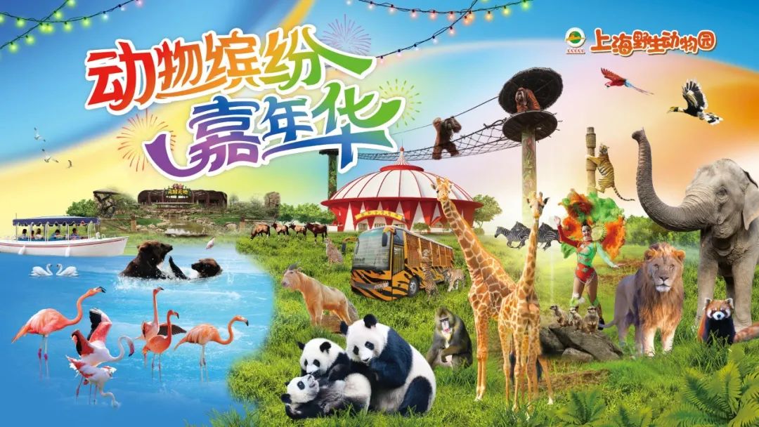 上海教师节景区免票优惠活动_上海景点门票优惠政策_上海欢乐谷教师节门票折扣