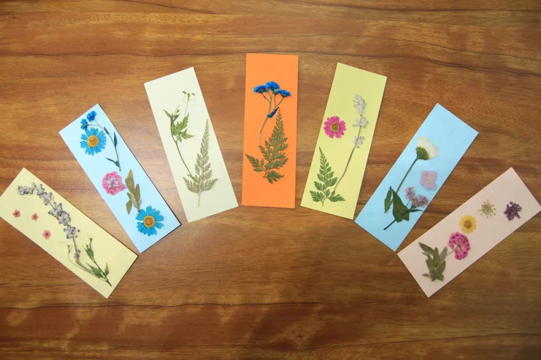上海欢乐谷教师节门票折扣_上海教师节景区免票优惠活动_上海景点门票优惠政策