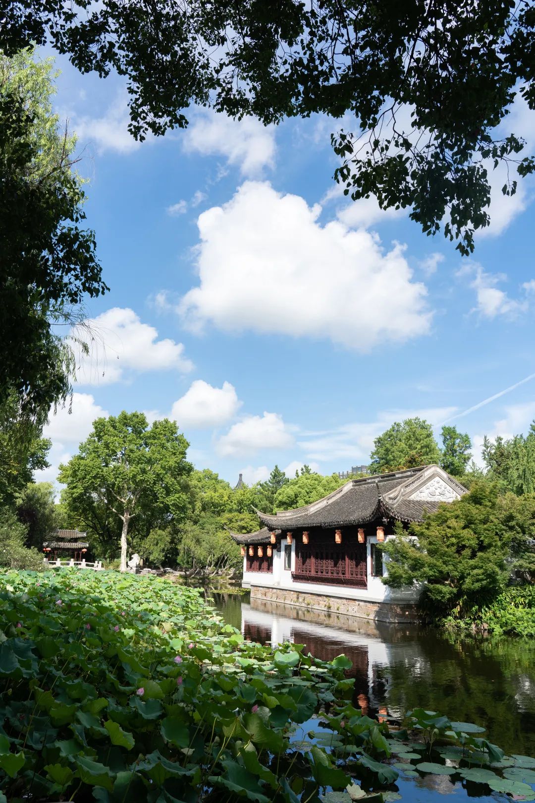 上海欢乐谷教师节门票折扣_上海景点门票优惠政策_上海教师节景区免票优惠活动
