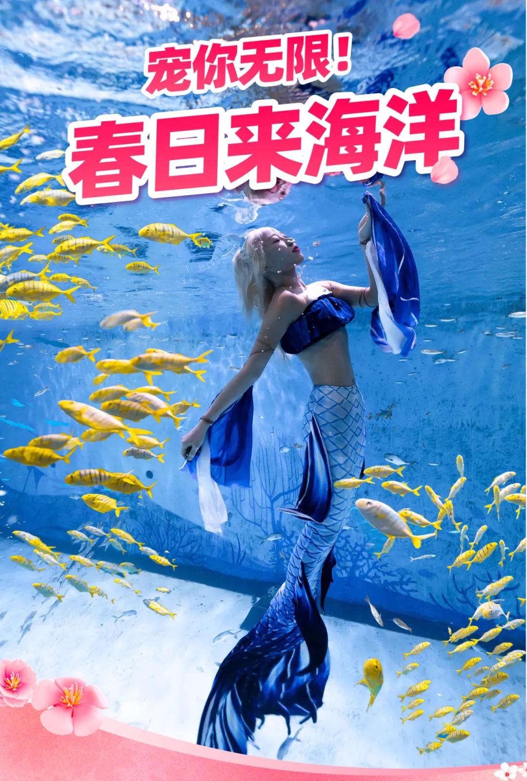 上海景点门票优惠政策_上海妇女节景区优惠活动_上海迪士尼公主月活动