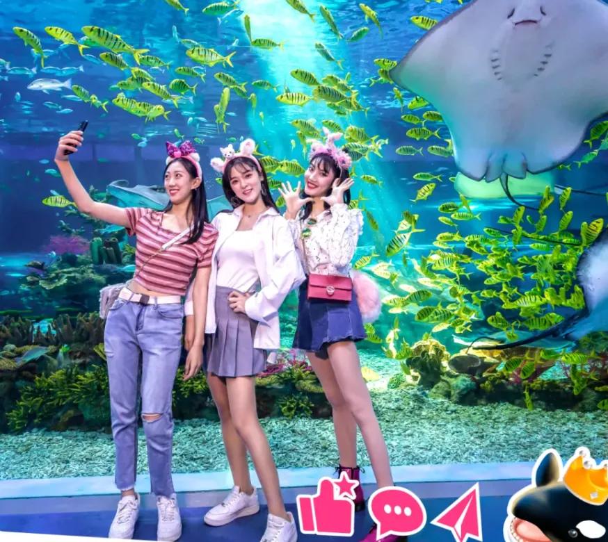 上海景点门票优惠政策_上海妇女节景区优惠活动_上海迪士尼公主月活动