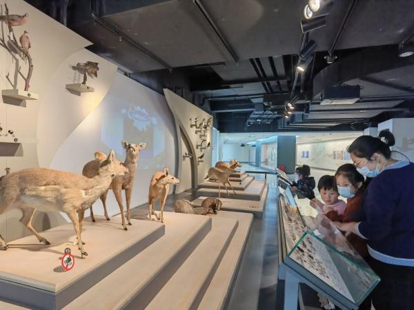 上海景点门票优惠政策_上海文旅活动红色初心游_上海中国旅游日门票半价活动