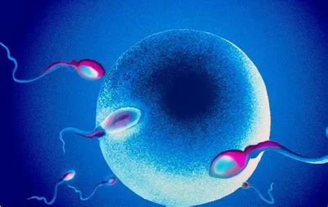 补锌硒对身体有什么好处_锌硒对精子质量的影响_男性备孕补锌硒