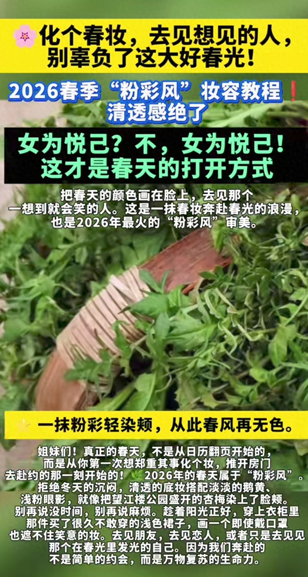 避开雷区浅粉腮红_腮红用久了表面一层_春日粉彩妆公式