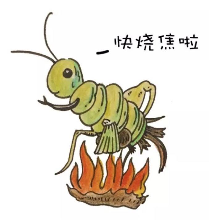 秋款半身裙_秋日雅称_秋天别称