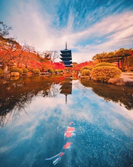 秋日雅称_秋天别称_秋款半身裙
